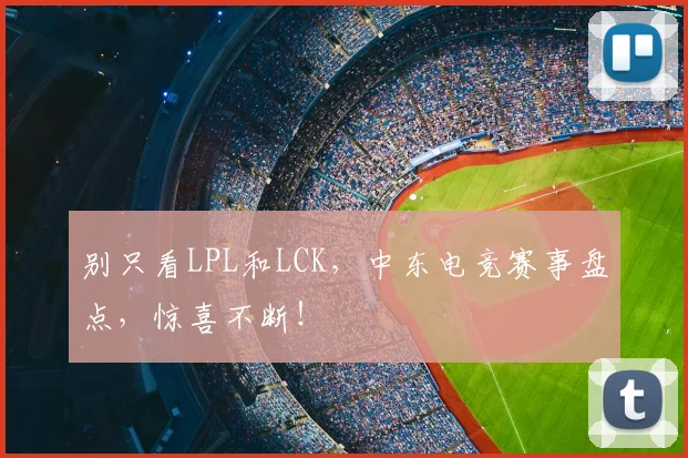 别只看LPL和LCK,中东电竞赛事盘点,惊喜不断!