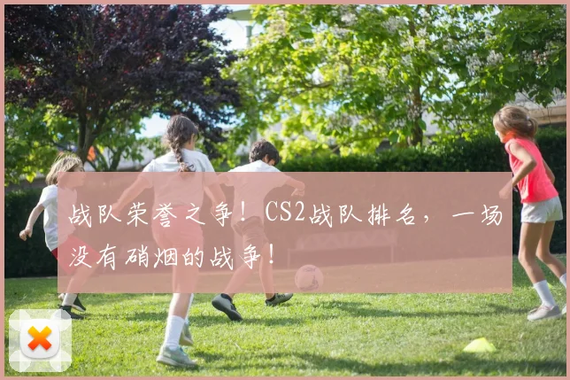 战队荣誉之争!CS2战队排名,一场没有硝烟的战争!